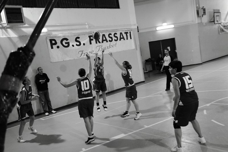Basket 443047